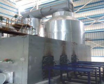 Biomass Briquette Fired HTM